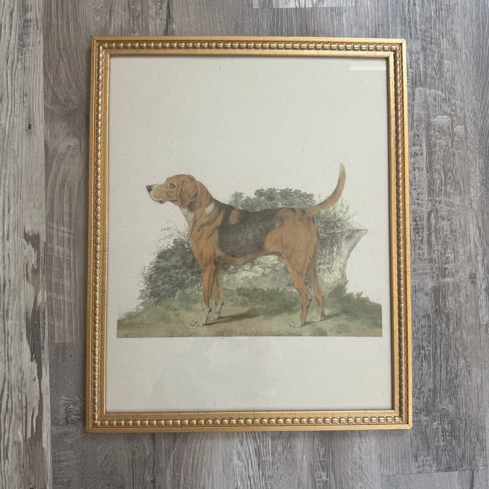 Vintage Hunting Dog Print Gold Frame English Country Equestrian Wall Art 21x17